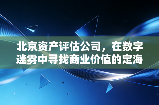 北京资产评估公司，在数字迷雾中寻找商业价值的定海神针