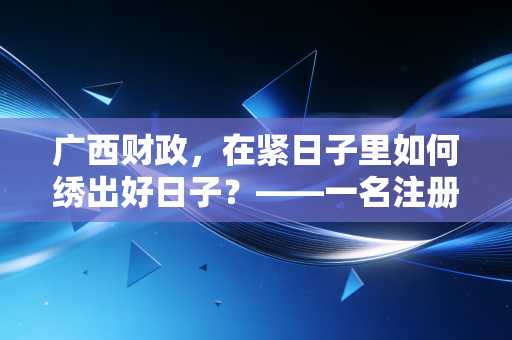 广西财政，在紧日子里如何绣出好日子？——一名注册会计师眼中的区域经济突围
