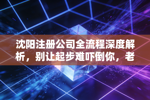 沈阳注册公司全流程深度解析，别让起步难吓倒你，老会计手把手教你避坑