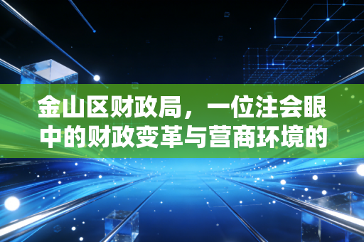 金山区财政局，一位注会眼中的财政变革与营商环境的金山样本