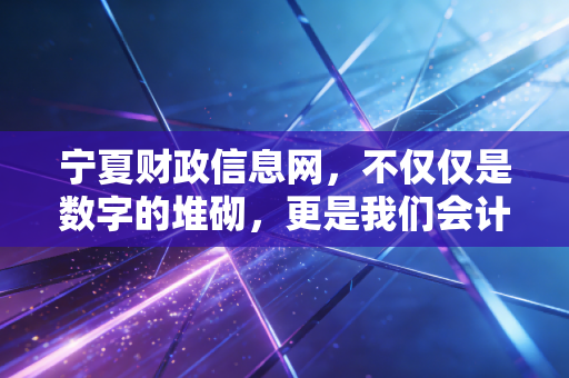 宁夏财政信息网，不仅仅是数字的堆砌，更是我们会计人的藏宝图