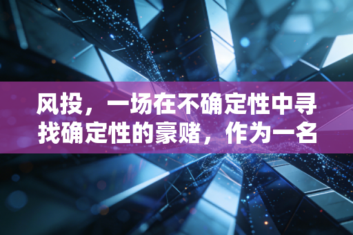 风投，一场在不确定性中寻找确定性的豪赌，作为一名注会眼中的估值与人性博弈