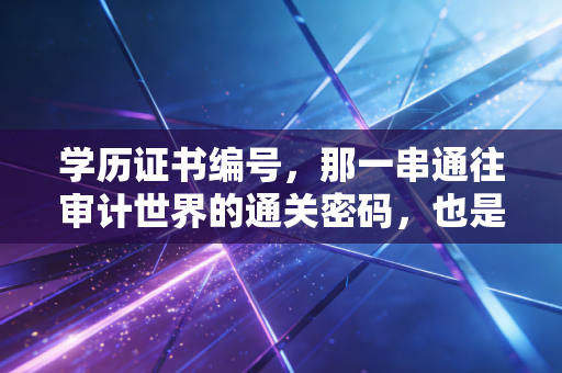 学历证书编号，那一串通往审计世界的通关密码，也是我们青春的注脚