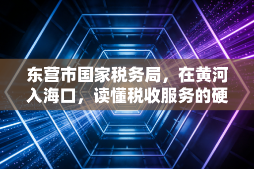 东营市国家税务局，在黄河入海口，读懂税收服务的硬核与柔情
