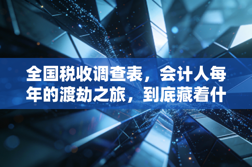 全国税收调查表，会计人每年的渡劫之旅，到底藏着什么玄机？