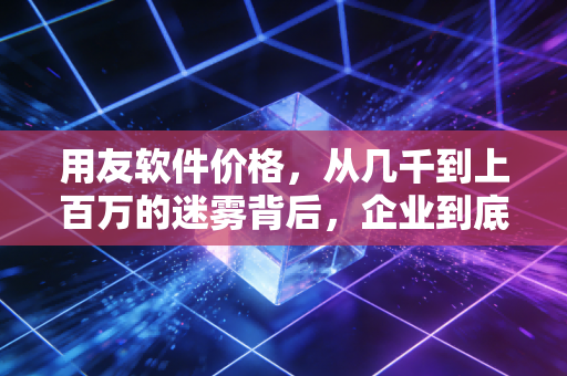 用友软件价格,从几千到上百万的迷雾背后,企业到底在为什么买单?