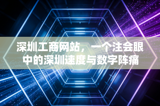 深圳工商网站,一个注会眼中的深圳速度与数字阵痛