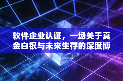 软件企业认证,一场关于真金白银与未来生存的深度博弈——一位注会眼中的价值重构