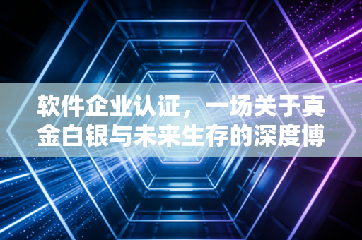 软件企业认证，一场关于真金白银与未来生存的深度博弈——一位注会眼中的价值重构