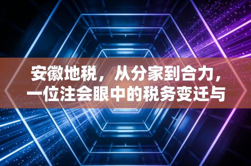 安徽地税,从分家到合力,一位注会眼中的税务变迁与营商新生态