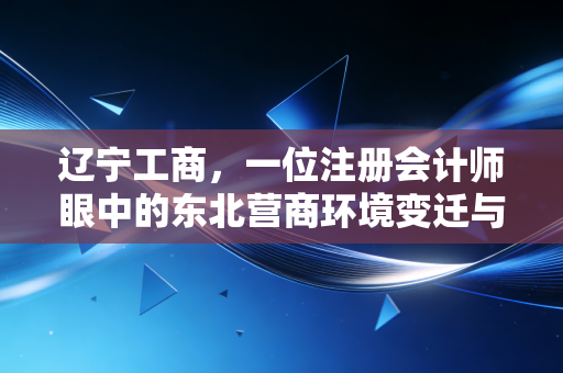 辽宁工商,一位注册会计师眼中的东北营商环境变迁与财税合规之路