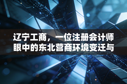 辽宁工商,一位注册会计师眼中的东北营商环境变迁与财税合规之路