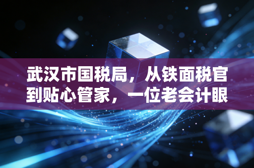 武汉市国税局,从铁面税官到贴心管家,一位老会计眼中的服务变革