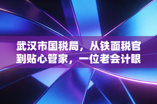 武汉市国税局，从铁面税官到贴心管家，一位老会计眼中的服务变革