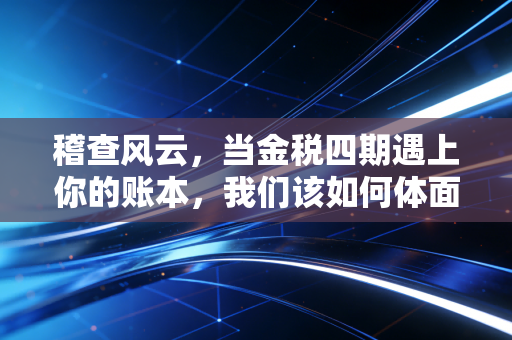 稽查风云，当金税四期遇上你的账本，我们该如何体面地活下去？