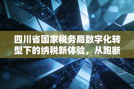 四川省国家税务局数字化转型下的纳税新体验,从跑断腿到指尖办的温情跨越