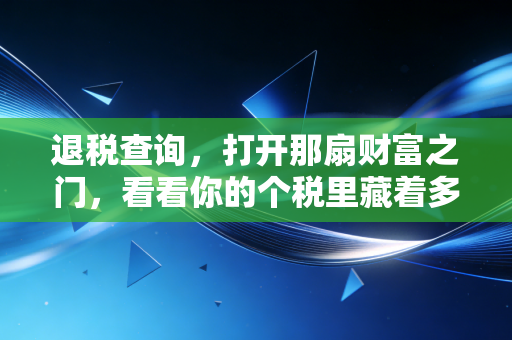 退税查询,打开那扇财富之门,看看你的个税里藏着多少惊喜与学问