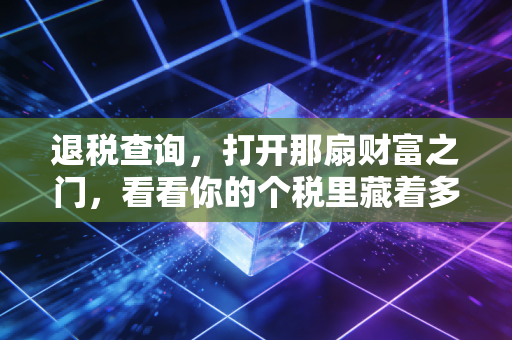 退税查询,打开那扇财富之门,看看你的个税里藏着多少惊喜与学问