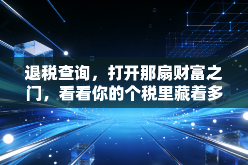 退税查询，打开那扇财富之门，看看你的个税里藏着多少惊喜与学问