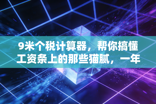 9米个税计算器,帮你搞懂工资条上的那些猫腻,一年多拿几千块不是梦