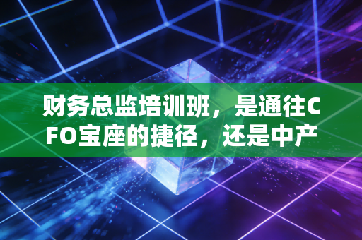 财务总监培训班，是通往CFO宝座的捷径，还是中产焦虑的收割机？