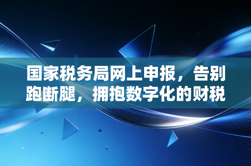 国家税务局网上申报，告别跑断腿，拥抱数字化的财税新生活