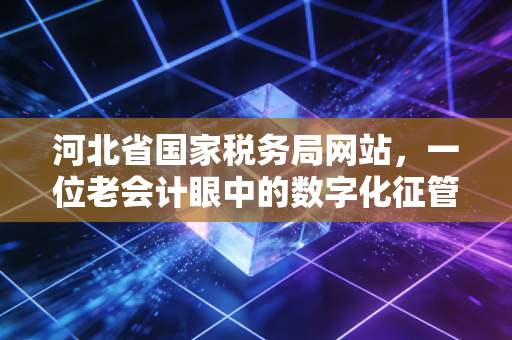 河北省国家税务局网站,一位老会计眼中的数字化征管变迁与实操心得