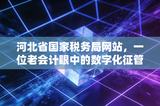 河北省国家税务局网站,一位老会计眼中的数字化征管变迁与实操心得