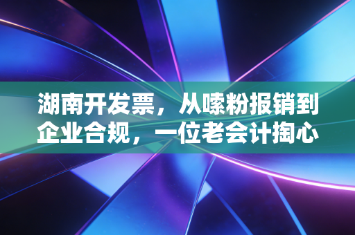 湖南开发票,从嗦粉报销到企业合规,一位老会计掏心窝子的实话实说