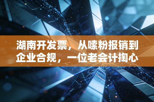 湖南开发票,从嗦粉报销到企业合规,一位老会计掏心窝子的实话实说