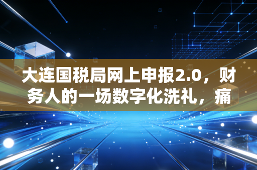 大连国税局网上申报2.0，财务人的一场数字化洗礼，痛并快乐着的升级之路