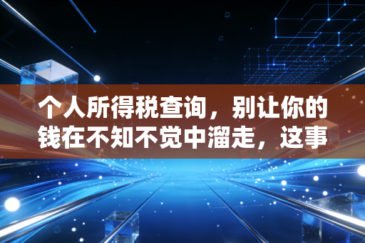 个人所得税查询，别让你的钱在不知不觉中溜走，这事儿比你想象的更重要