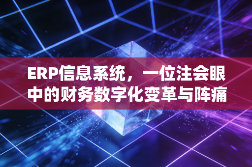ERP信息系统，一位注会眼中的财务数字化变革与阵痛