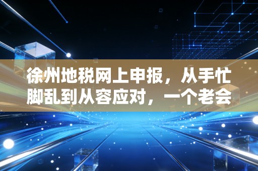 徐州地税网上申报,从手忙脚乱到从容应对,一个老会计的实战心得与避坑指南