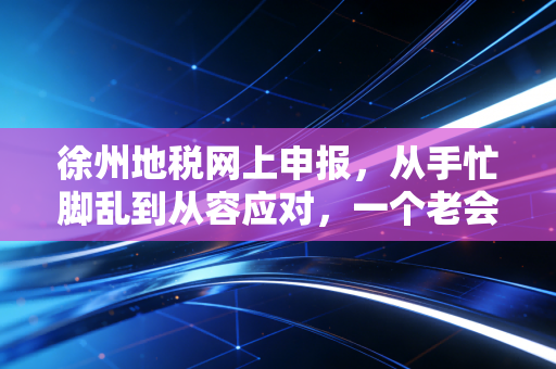 徐州地税网上申报,从手忙脚乱到从容应对,一个老会计的实战心得与避坑指南