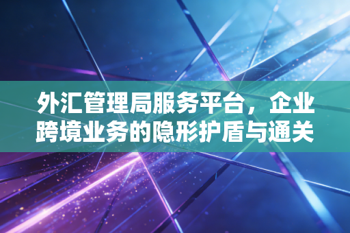 外汇管理局服务平台,企业跨境业务的隐形护盾与通关秘籍