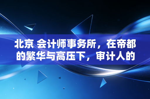北京 会计师事务所,在帝都的繁华与高压下,审计人的真实生存图鉴