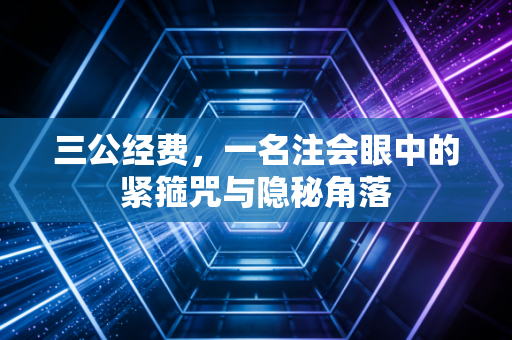 三公经费,一名注会眼中的紧箍咒与隐秘角落