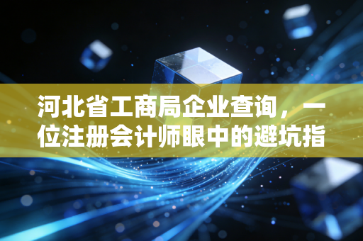 河北省工商局企业查询，一位注册会计师眼中的避坑指南与商业洞察