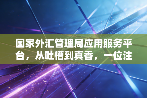 国家外汇管理局应用服务平台,从吐槽到真香,一位注会眼中的外汇合规之路
