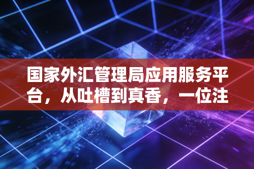 国家外汇管理局应用服务平台，从吐槽到真香，一位注会眼中的外汇合规之路