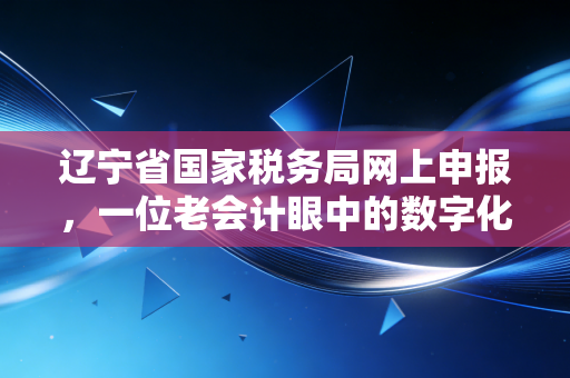 辽宁省国家税务局网上申报，一位老会计眼中的数字化变革与实操心得