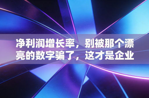 净利润增长率,别被那个漂亮的数字骗了,这才是企业赚钱的真相