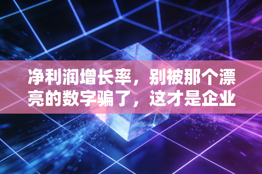 净利润增长率，别被那个漂亮的数字骗了，这才是企业赚钱的真相