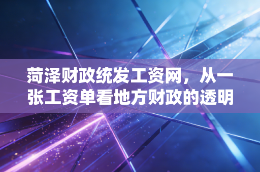 菏泽财政统发工资网,从一张工资单看地方财政的透明化与数字化变革