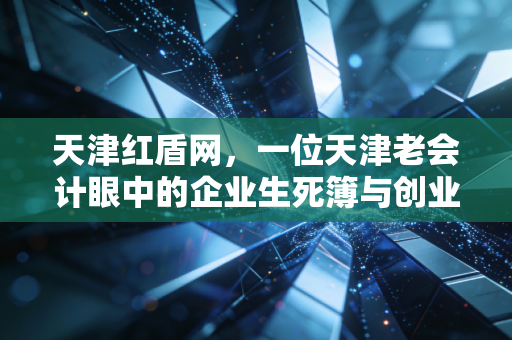 天津红盾网,一位天津老会计眼中的企业生死簿与创业路上的隐形守护者