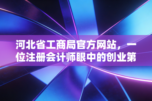 河北省工商局官方网站，一位注册会计师眼中的创业第一站与数字化变迁