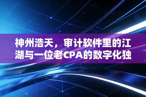 神州浩天，审计软件里的江湖与一位老CPA的数字化独白