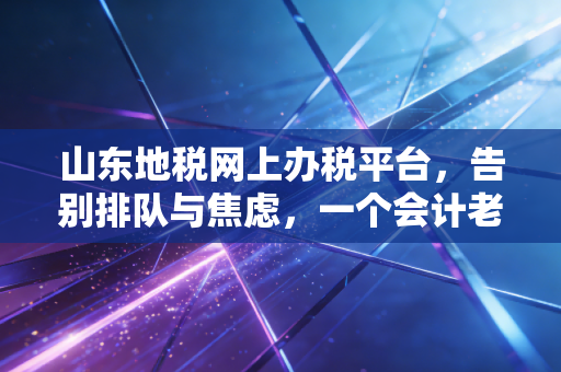 山东地税网上办税平台，告别排队与焦虑，一个会计老油条的实战心得与避坑指南