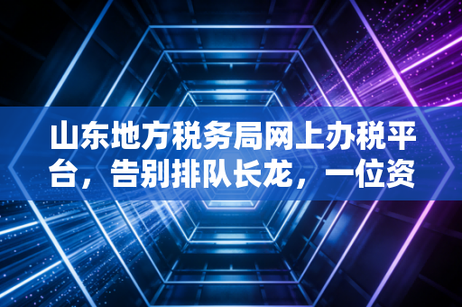 山东地方税务局网上办税平台,告别排队长龙,一位资深注会眼中的数字化办税变迁